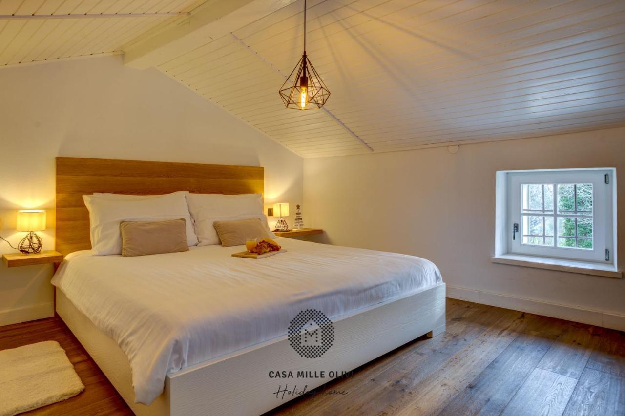Casa Mille Olivi Villa Buzet Eksteriør billede
