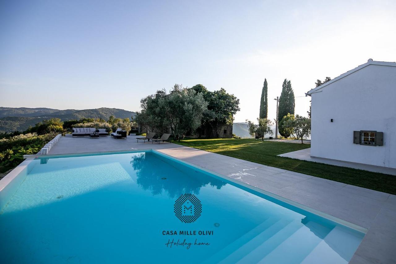 Casa Mille Olivi Villa Buzet Eksteriør billede