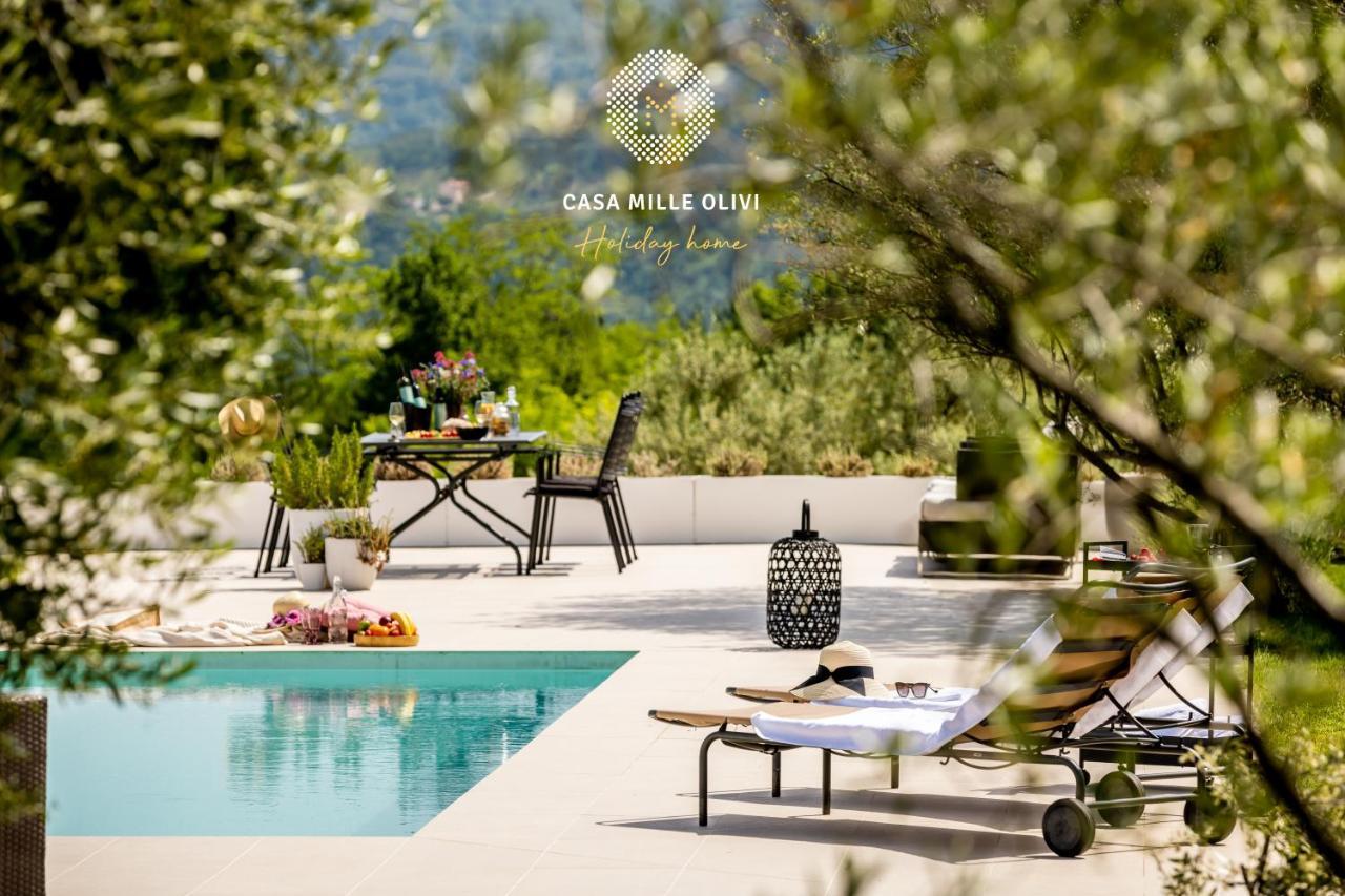 Casa Mille Olivi Villa Buzet Eksteriør billede