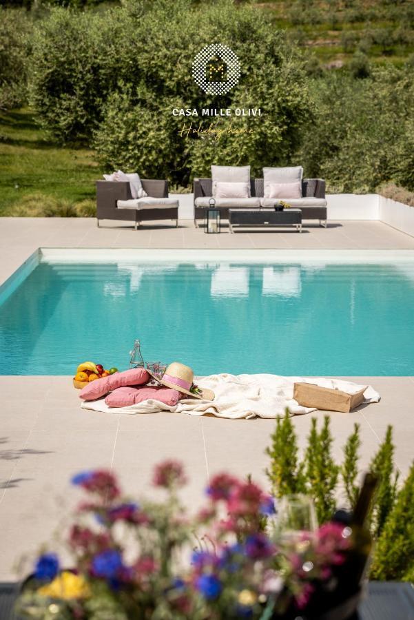 Casa Mille Olivi Villa Buzet Eksteriør billede